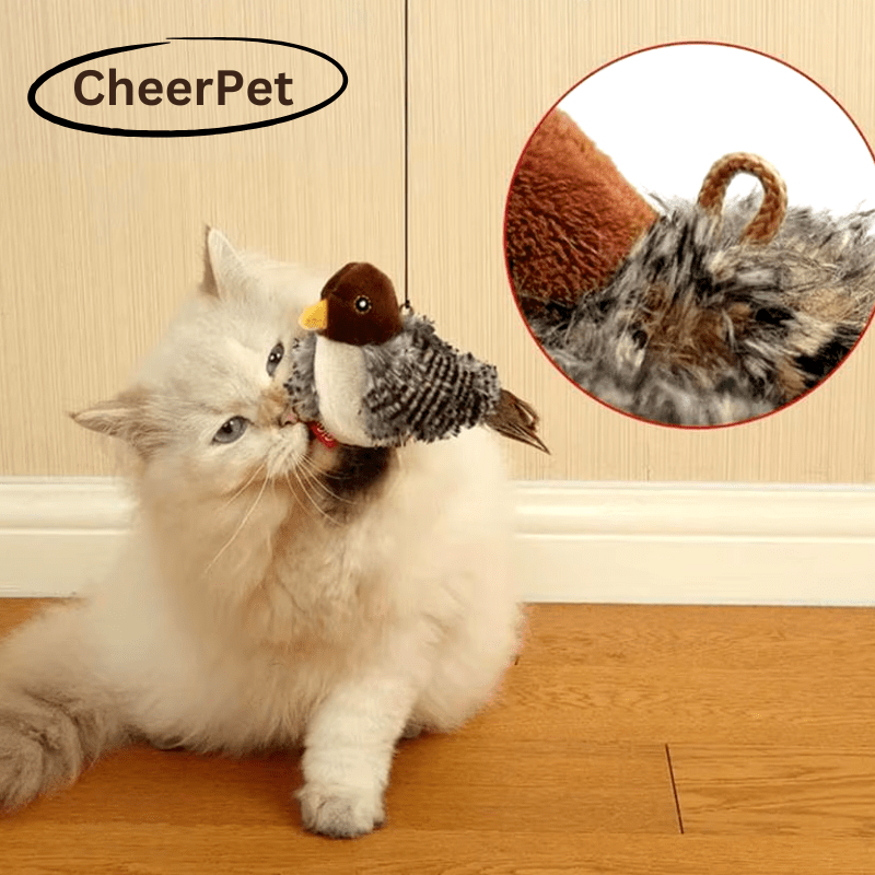 1+1 FREE | CheerPet Cat Bird Toy with Wings