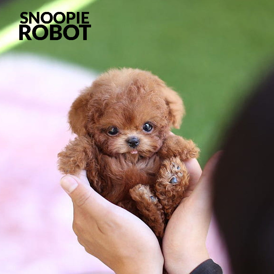 Snoopie – The Lively Interactive Robot Puppy